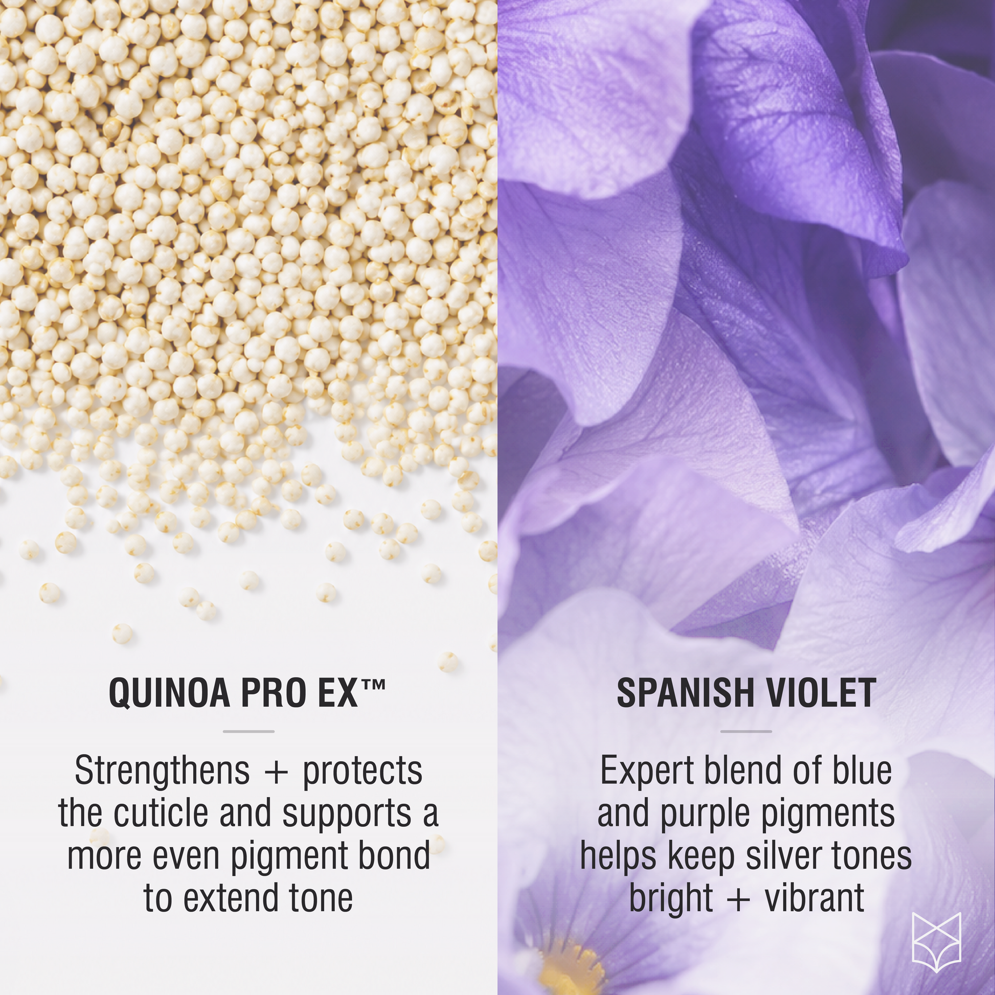 Quinoa Pro Ex and purple pigments in Tonal Control for brighter silver hair tone that lasts 