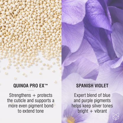 Quinoa Pro Ex and purple pigments in Tonal Control for brighter silver hair tone that lasts 