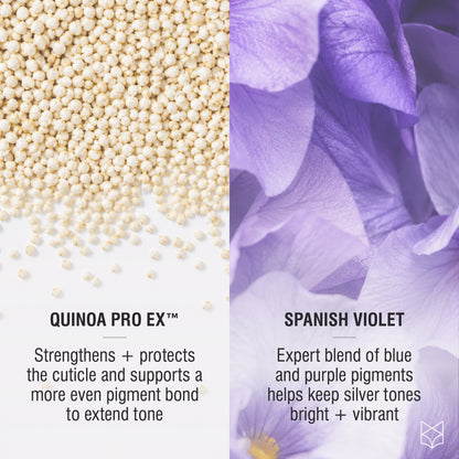 Quinoa Pro Ex and purple pigments in Tonal Control for brighter silver hair tone